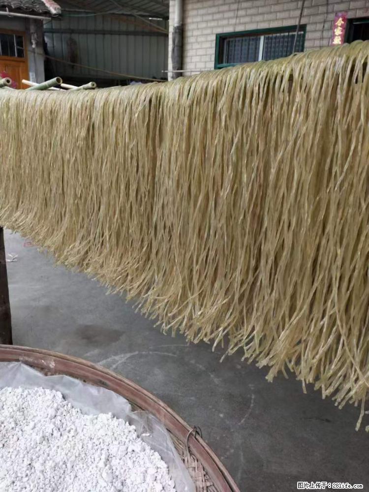 【灌阳正宗红薯粉】美女家里自己做的，干净卫生，假一赔十，价格合理，抢购电话：13737312895 - 美食天地 - 张掖生活社区 - 张掖28生活网 zhangye.28life.net