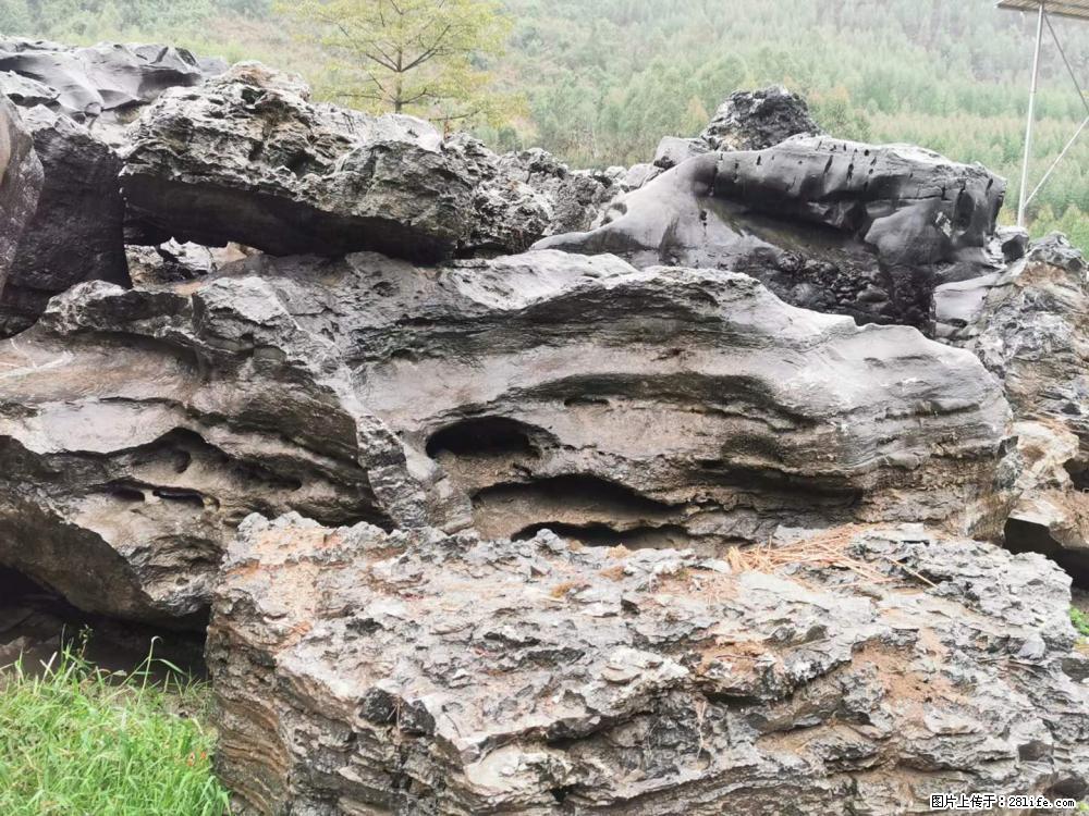 风景石、假山石大量有货，有需要的欢迎联系 - 新手上路 - 张掖生活社区 - 张掖28生活网 zhangye.28life.net