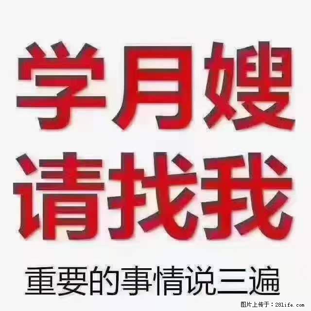为什么要学习月嫂，育婴师？ - 其他广告 - 广告专区 - 张掖分类信息 - 张掖28生活网 zhangye.28life.net