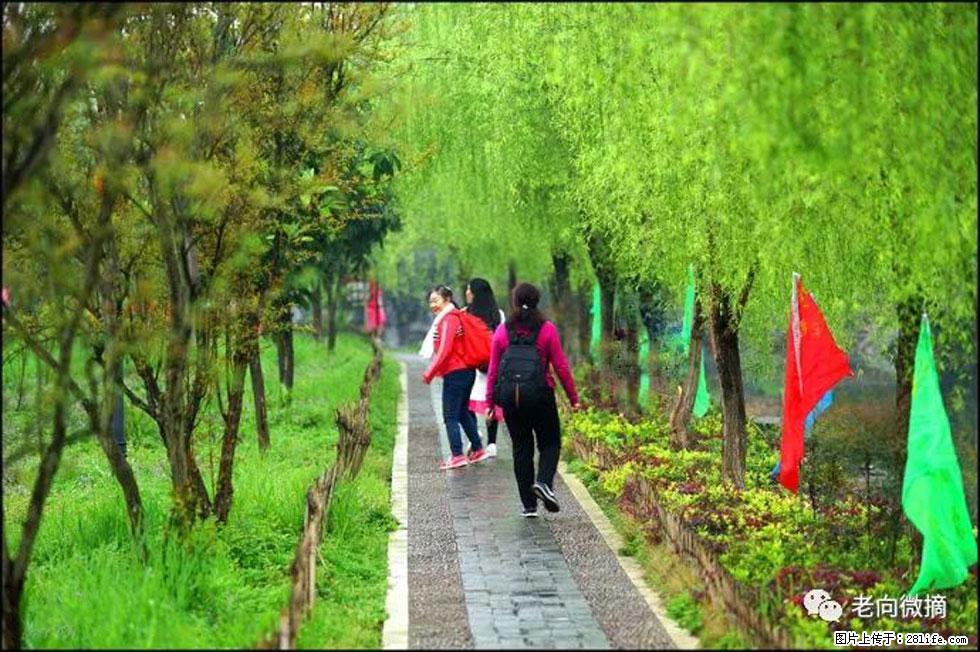 【春天，广西桂林灌阳县向您发出邀请！】江口老街又逢春 - 游山玩水 - 张掖生活社区 - 张掖28生活网 zhangye.28life.net