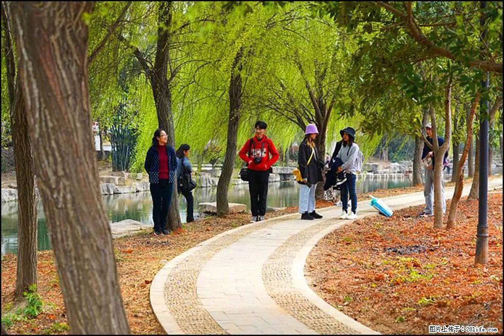 【春天，广西桂林灌阳县向您发出邀请！】江口老街又逢春 - 游山玩水 - 张掖生活社区 - 张掖28生活网 zhangye.28life.net