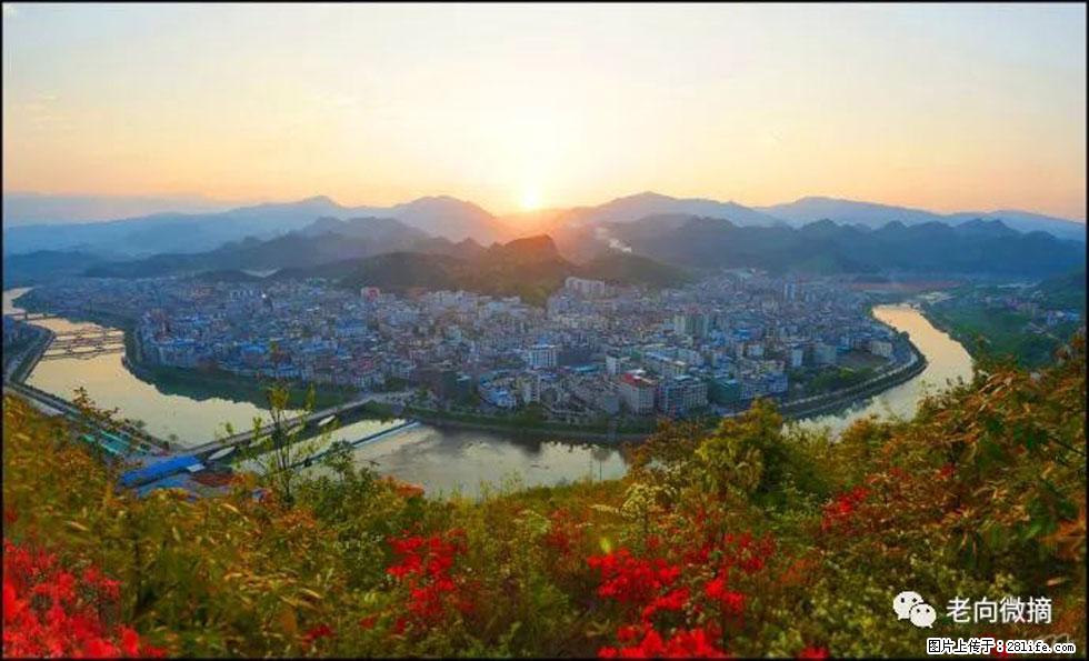 【春天,广西桂林灌阳县向您发出邀请!】登麒麟山,相约映山红 - 游山玩水 - 张掖生活社区 - 张掖28生活网 zhangye.28life.net