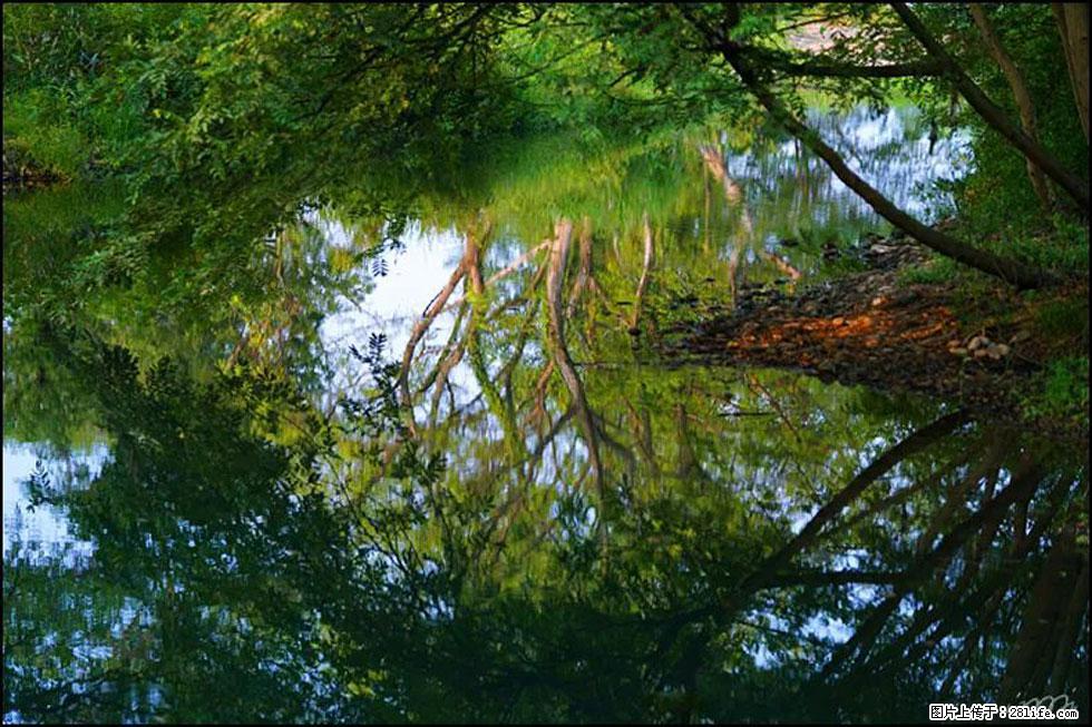 【春天，广西桂林灌阳县向您发出邀请！】熊家寨湿地公园 - 游山玩水 - 张掖生活社区 - 张掖28生活网 zhangye.28life.net