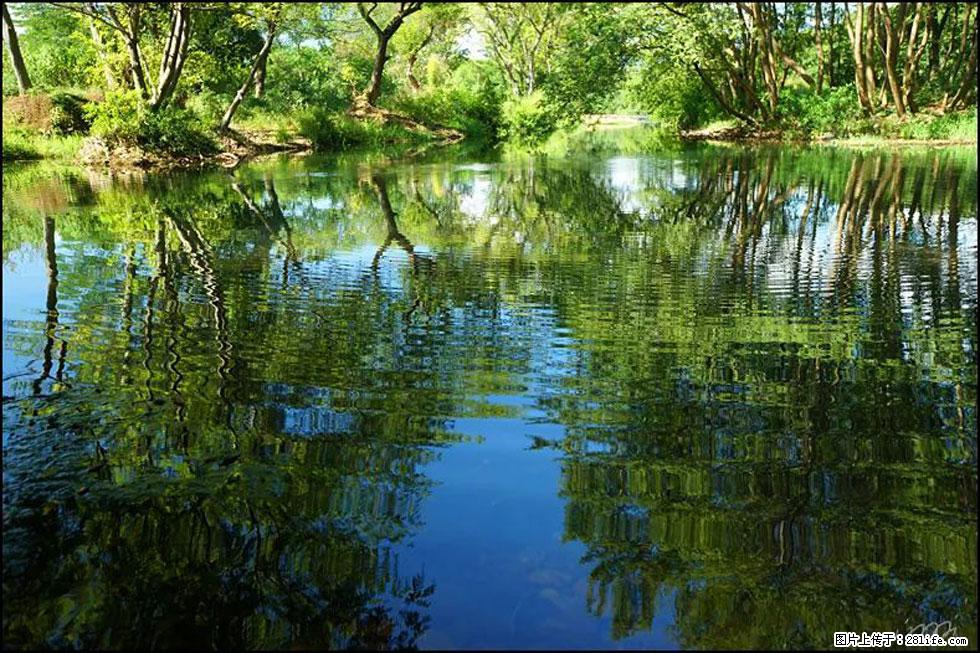【春天，广西桂林灌阳县向您发出邀请！】熊家寨湿地公园 - 游山玩水 - 张掖生活社区 - 张掖28生活网 zhangye.28life.net