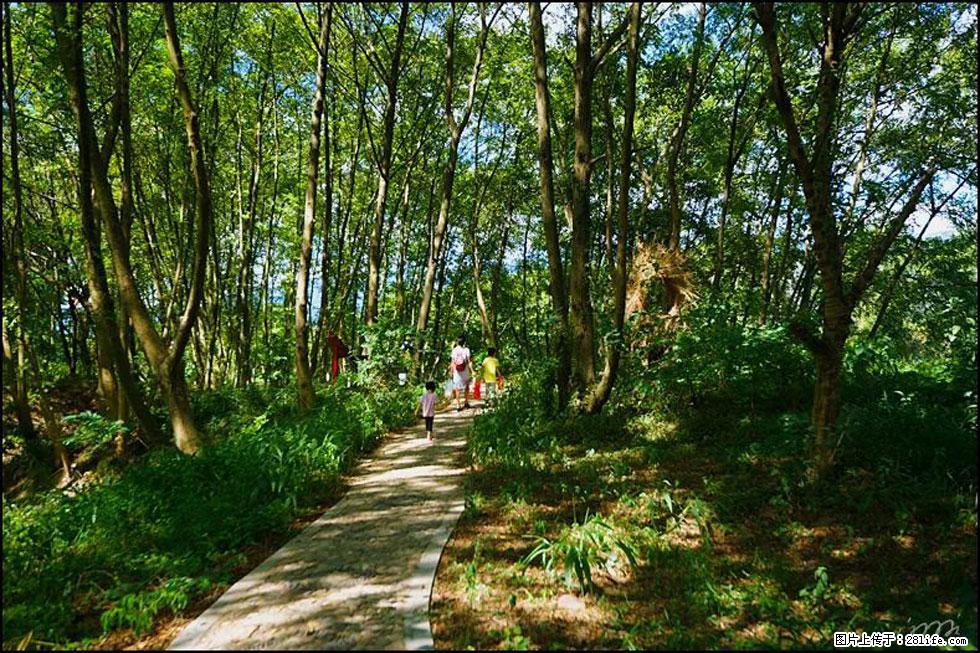 【春天，广西桂林灌阳县向您发出邀请！】熊家寨湿地公园 - 游山玩水 - 张掖生活社区 - 张掖28生活网 zhangye.28life.net