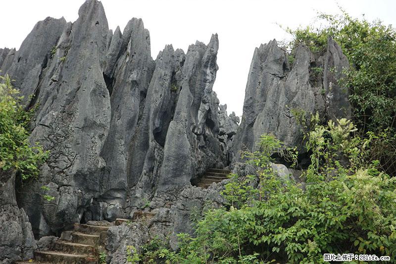 桂林旅游名城景点：灌阳文市石林 - 游山玩水 - 张掖生活社区 - 张掖28生活网 zhangye.28life.net