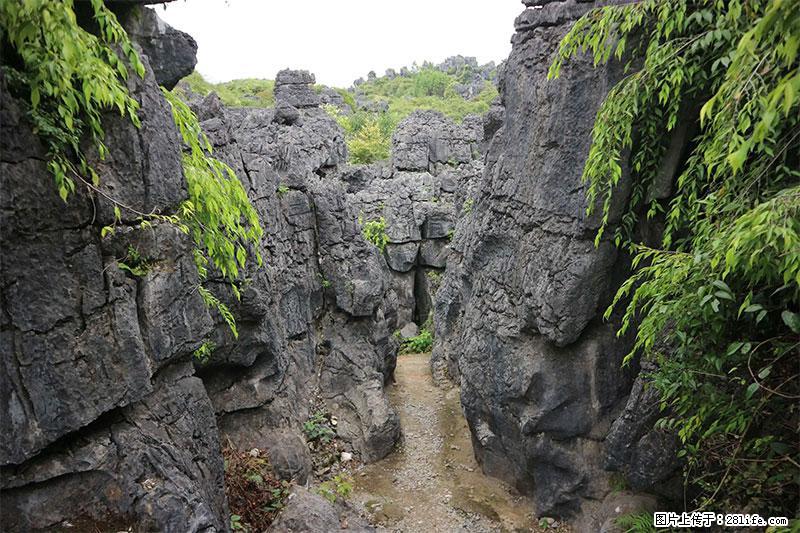 桂林旅游名城景点：灌阳文市石林 - 游山玩水 - 张掖生活社区 - 张掖28生活网 zhangye.28life.net