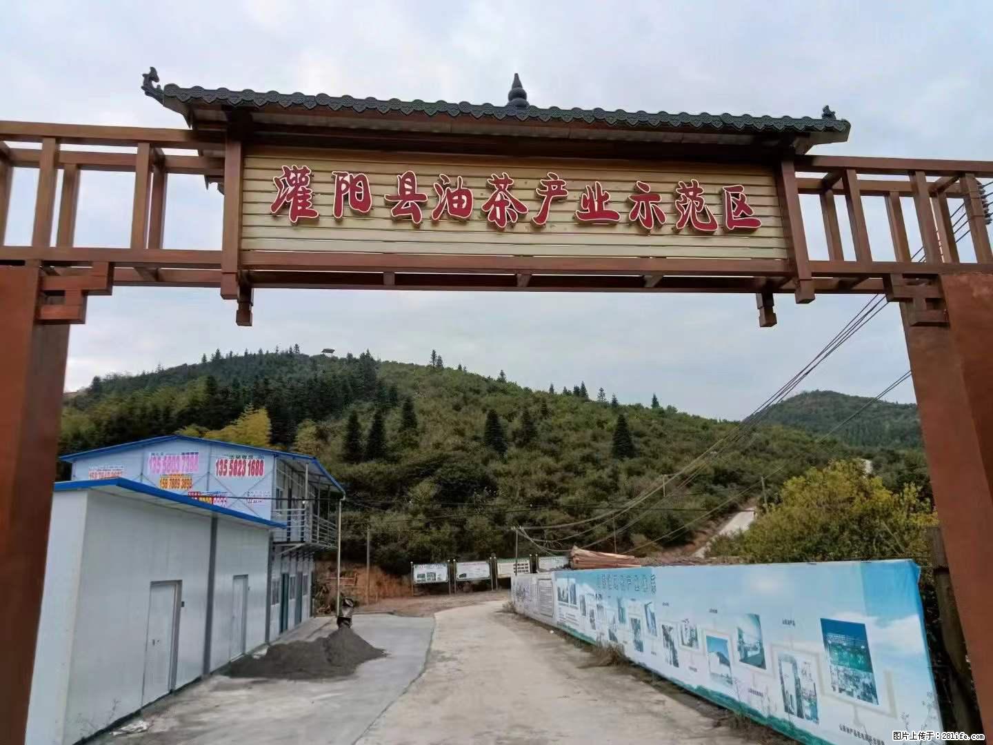 【灌阳县油茶产业示范区】一个有着充实的精神生活的人，对待身外之物自会有一种淡泊的态度 - 美食天地 - 张掖生活社区 - 张掖28生活网 zhangye.28life.net