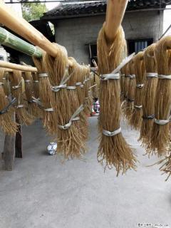 【灌阳正宗红薯粉】美女家里自己做的，干净卫生，假一赔十，价格合理，抢购电话：13737312895 - 张掖28生活网 zhangye.28life.net
