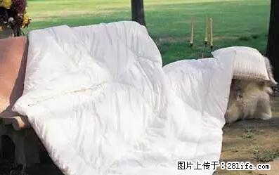 被子有异味？只要这样做，比晒太阳还强100倍！ - 家居生活 - 张掖生活社区 - 张掖28生活网 zhangye.28life.net