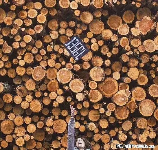 辞掉工作周游世界？现在他们在洗厕所…… - 游山玩水 - 张掖生活社区 - 张掖28生活网 zhangye.28life.net
