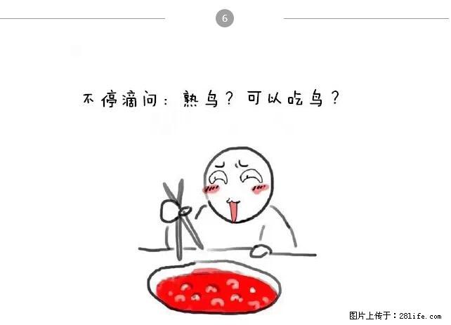 千万不要和这9种哈卵一起吃火锅！ - 美食天地 - 张掖生活社区 - 张掖28生活网 zhangye.28life.net