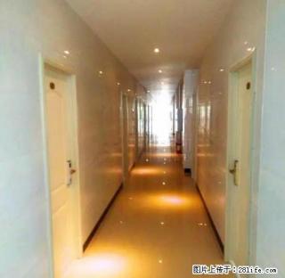 东门牌坊楼有精装单人公寓出租，便宜实惠，拎包入住。 - 张掖28生活网 zhangye.28life.net