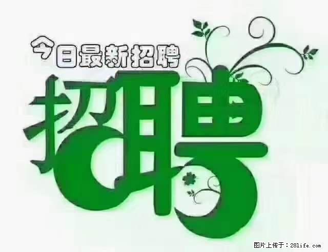 【招聘摄像师】待遇：试用期6000元/月，转正7000元/月+五险一金+餐补+节日福利+奖金 - 其他招聘信息 - 招聘求职 - 张掖分类信息 - 张掖28生活网 zhangye.28life.net