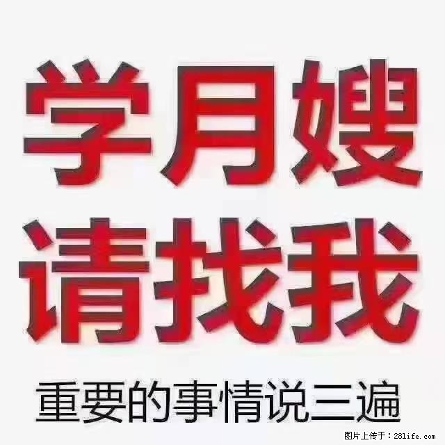 【招聘】月嫂，上海徐汇区 - 职场交流 - 张掖生活社区 - 张掖28生活网 zhangye.28life.net