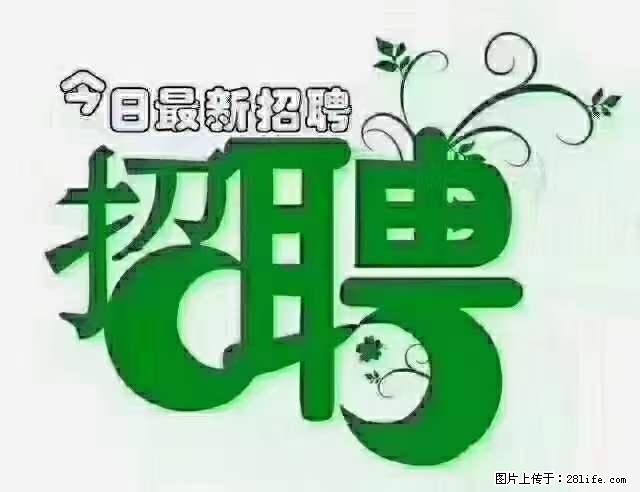 上海隔离酒店招人：55岁以下 男女不限 - 职场交流 - 张掖生活社区 - 张掖28生活网 zhangye.28life.net