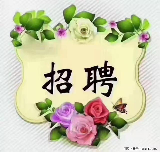 【招聘】住家育儿嫂，上户日期：4月4日，工作地址：上海 黄浦区 - 职场交流 - 张掖生活社区 - 张掖28生活网 zhangye.28life.net