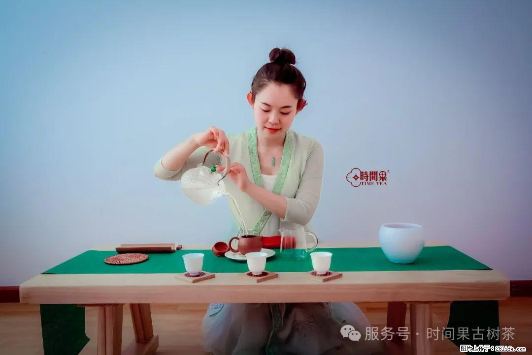 时间果百年古树龙珠普洱生茶 - 购物交流 - 张掖生活社区 - 张掖28生活网 zhangye.28life.net