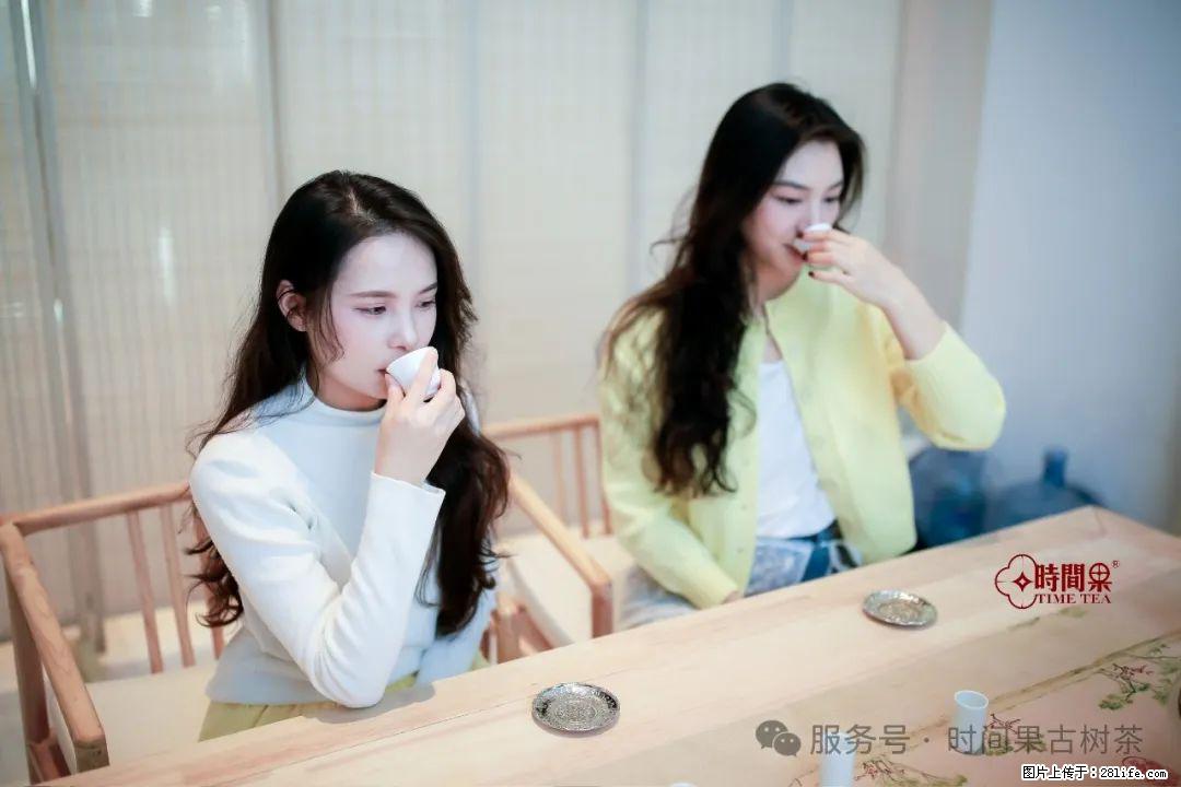 时间果百年古树龙珠普洱生茶 - 购物交流 - 张掖生活社区 - 张掖28生活网 zhangye.28life.net