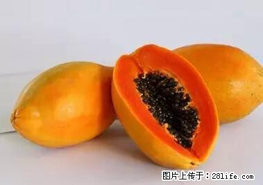 晕车、脚气、牙齿变黄、皮肤粗糙?学会这些三分钟搞定! - 张掖生活资讯 - 张掖28生活网 zhangye.28life.net