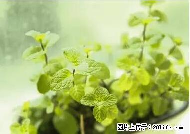 晕车、脚气、牙齿变黄、皮肤粗糙?学会这些三分钟搞定! - 张掖生活资讯 - 张掖28生活网 zhangye.28life.net