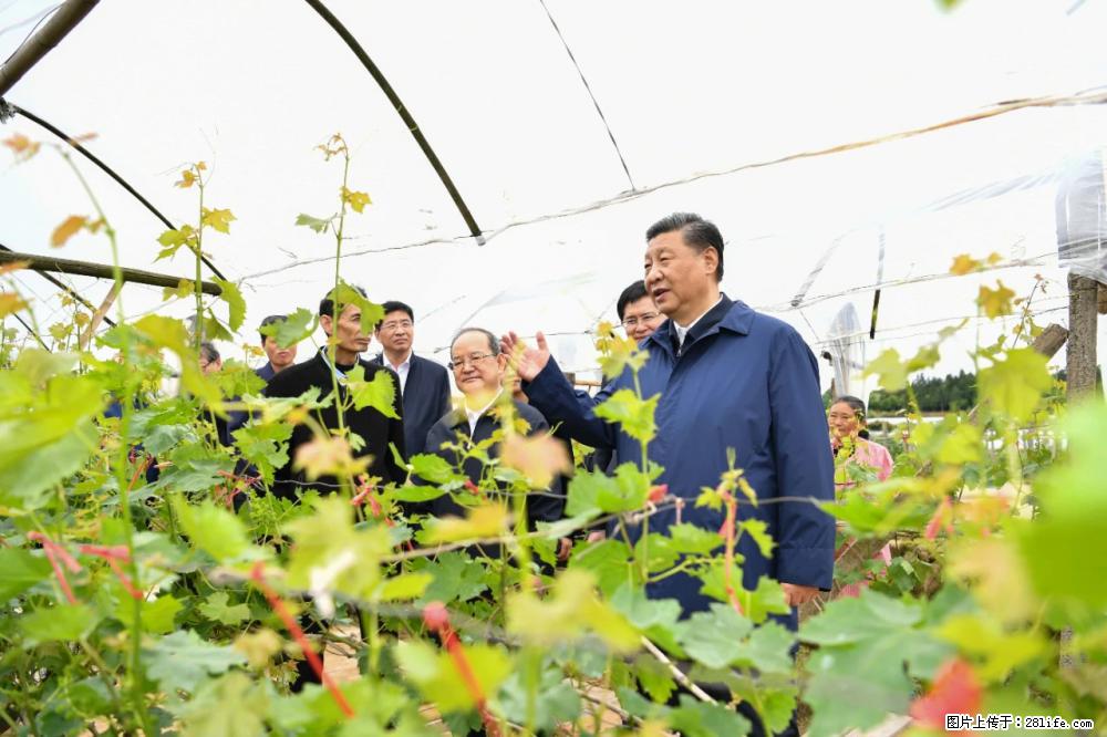 习近平赴广西考察调研 - 张掖生活资讯 - 张掖28生活网 zhangye.28life.net