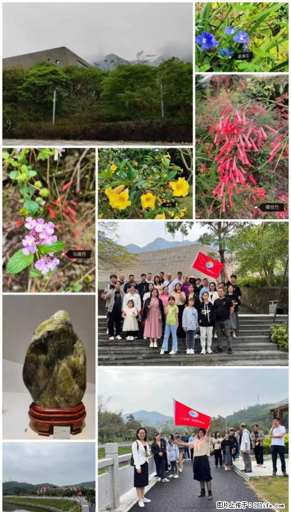 “粤灌文化 美好生活”油茶文化主题活动在广东深圳成功举办 - 张掖生活资讯 - 张掖28生活网 zhangye.28life.net