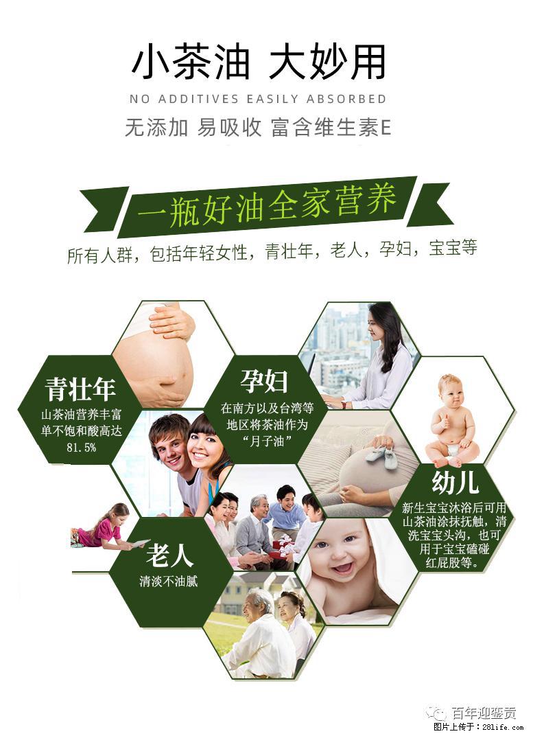 世界没有真相，只有认知，最好的食用油是中国的山茶油！ - 张掖生活资讯 - 张掖28生活网 zhangye.28life.net