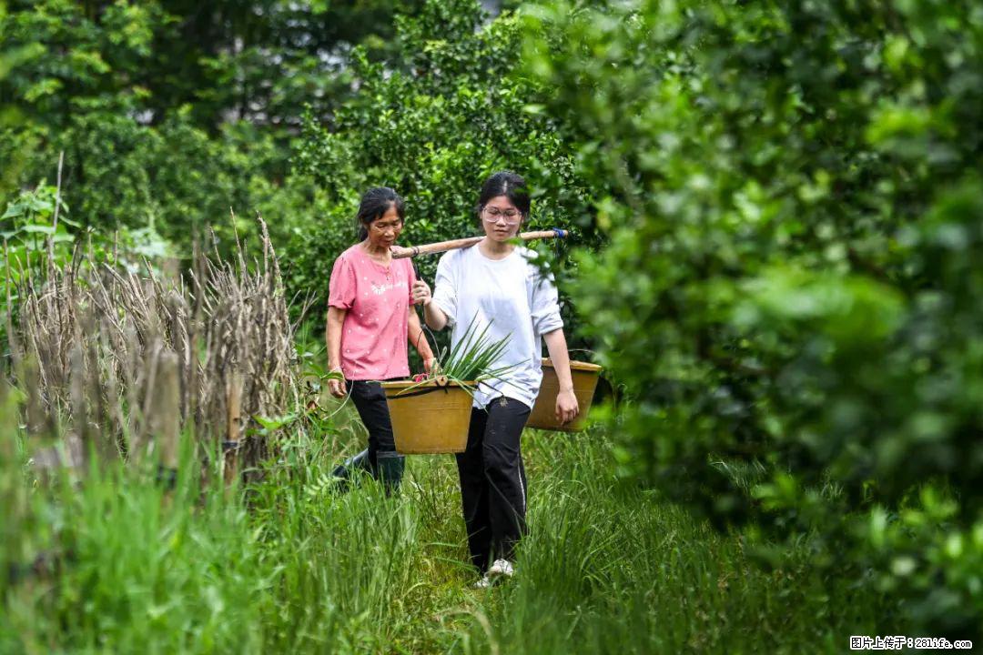 全网追的“扁担女孩”，找了一份暑假工，时薪12元 - 张掖生活资讯 - 张掖28生活网 zhangye.28life.net
