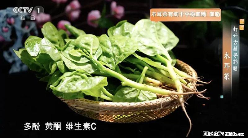 比牛奶补钙还厉害！凉血解毒、稳血糖...这菜冬天必吃，很多人却当草 - 张掖生活资讯 - 张掖28生活网 zhangye.28life.net