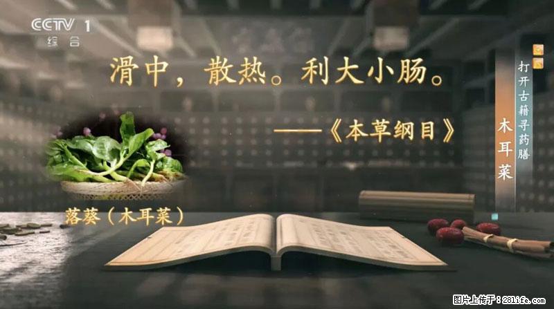 比牛奶补钙还厉害！凉血解毒、稳血糖...这菜冬天必吃，很多人却当草 - 张掖生活资讯 - 张掖28生活网 zhangye.28life.net
