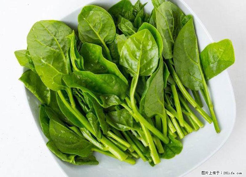 这些蔬菜是“天然钙片”，这6种被医生重点推荐 - 张掖生活资讯 - 张掖28生活网 zhangye.28life.net