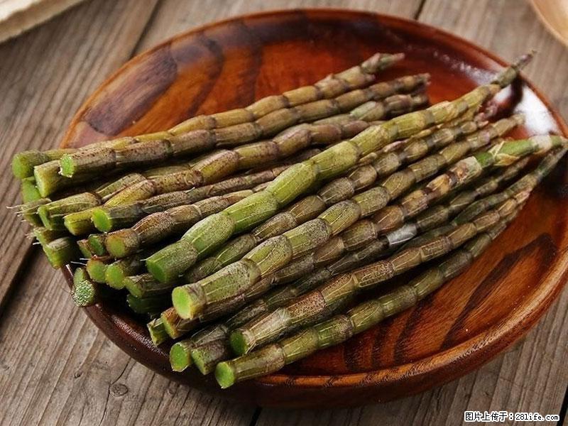 铁皮石斛的作用与功能主治 - 张掖生活资讯 - 张掖28生活网 zhangye.28life.net